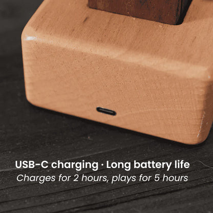 Handcrafted Wooden MantaRay Automaton